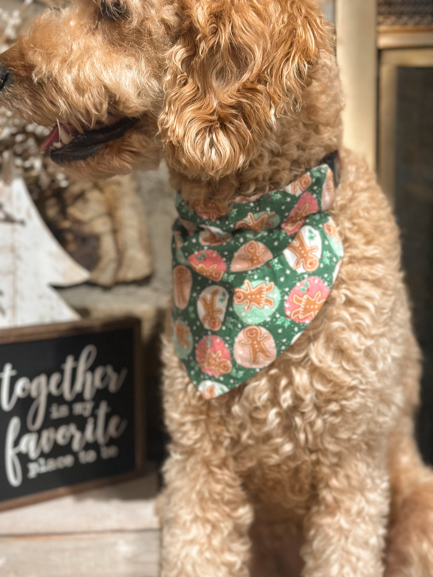 Gingerbread Joy