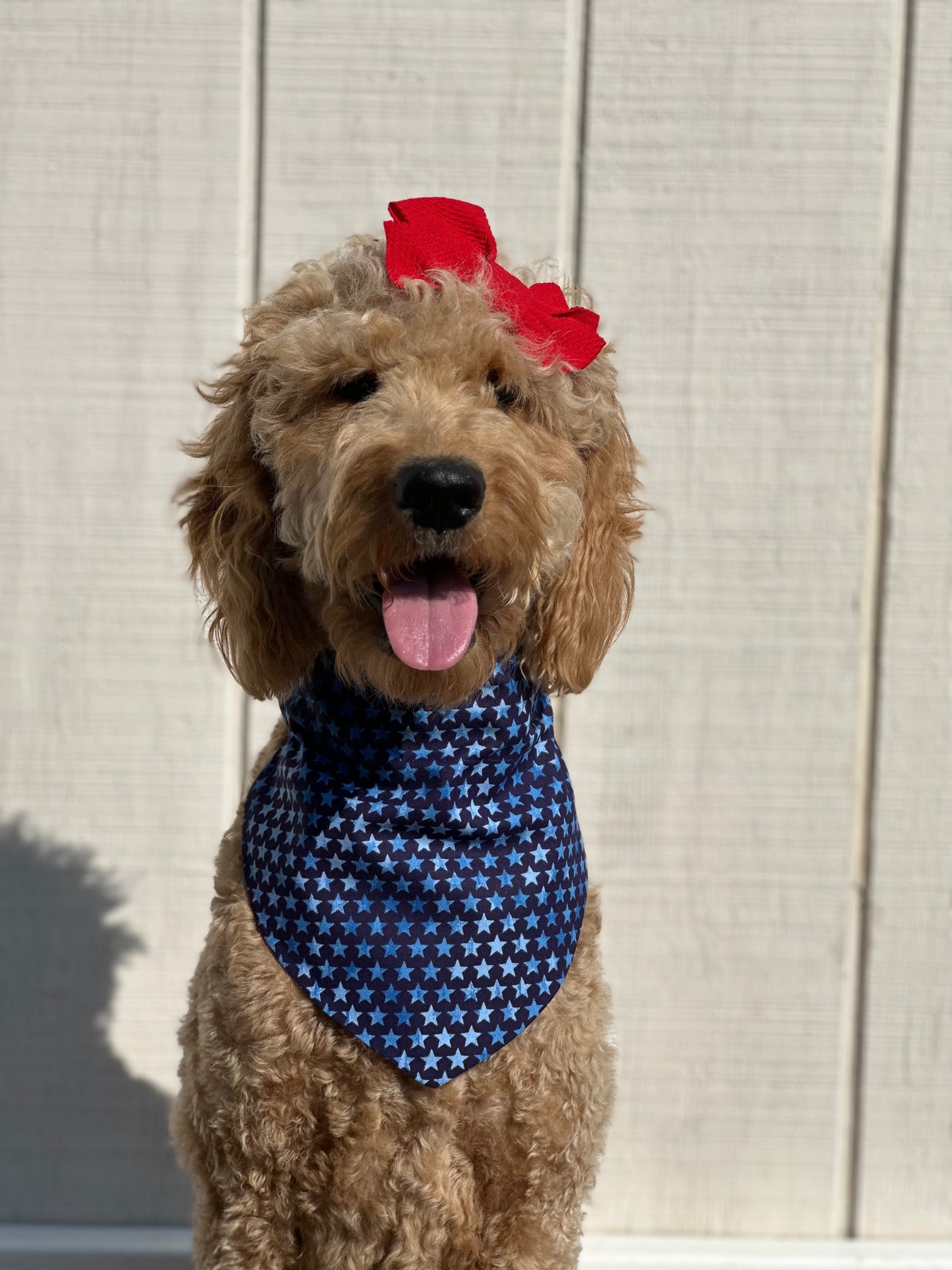 American camouflage