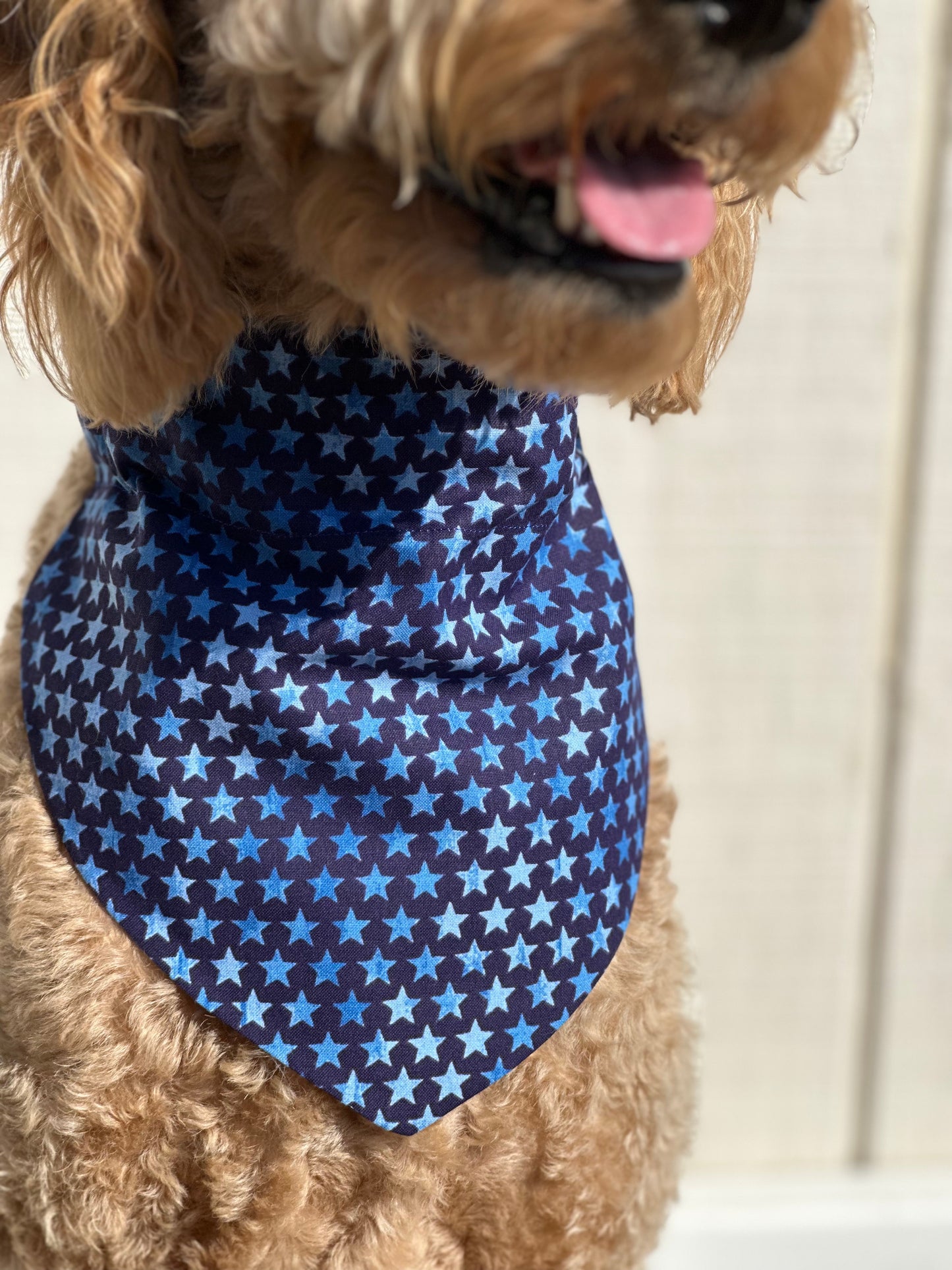 American camouflage