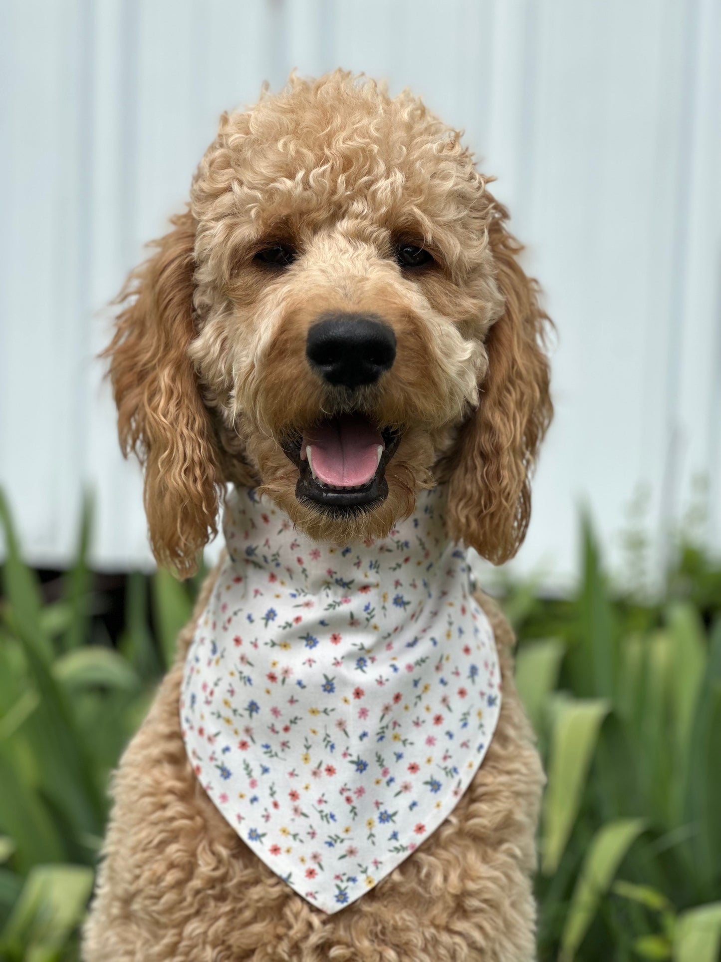 Flower Child