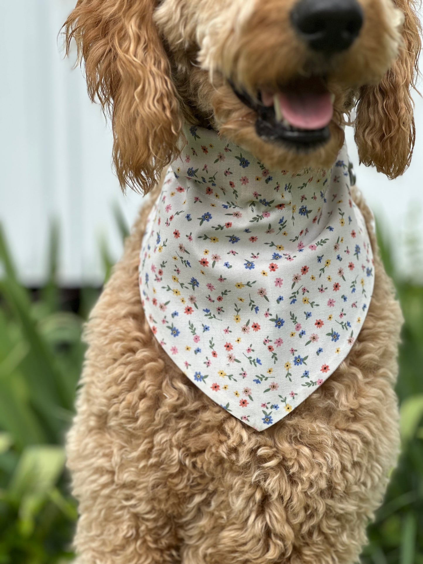 Flower Child
