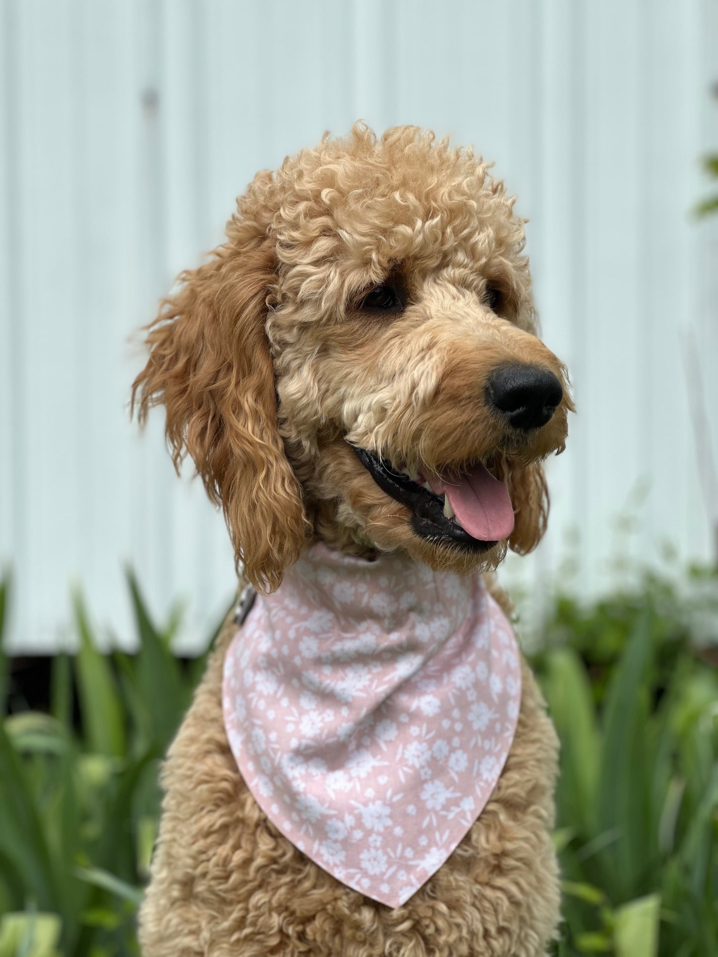 Flower Child