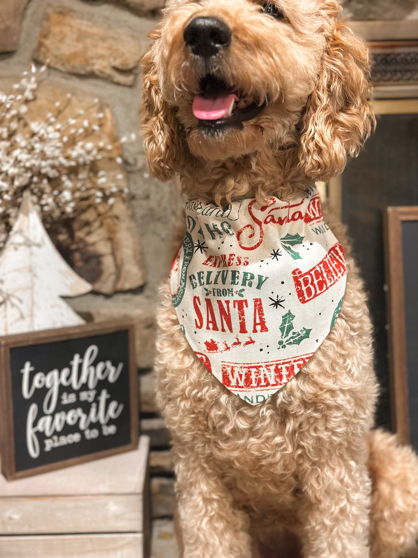 Santa’s special delivery