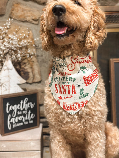 Santa’s special delivery