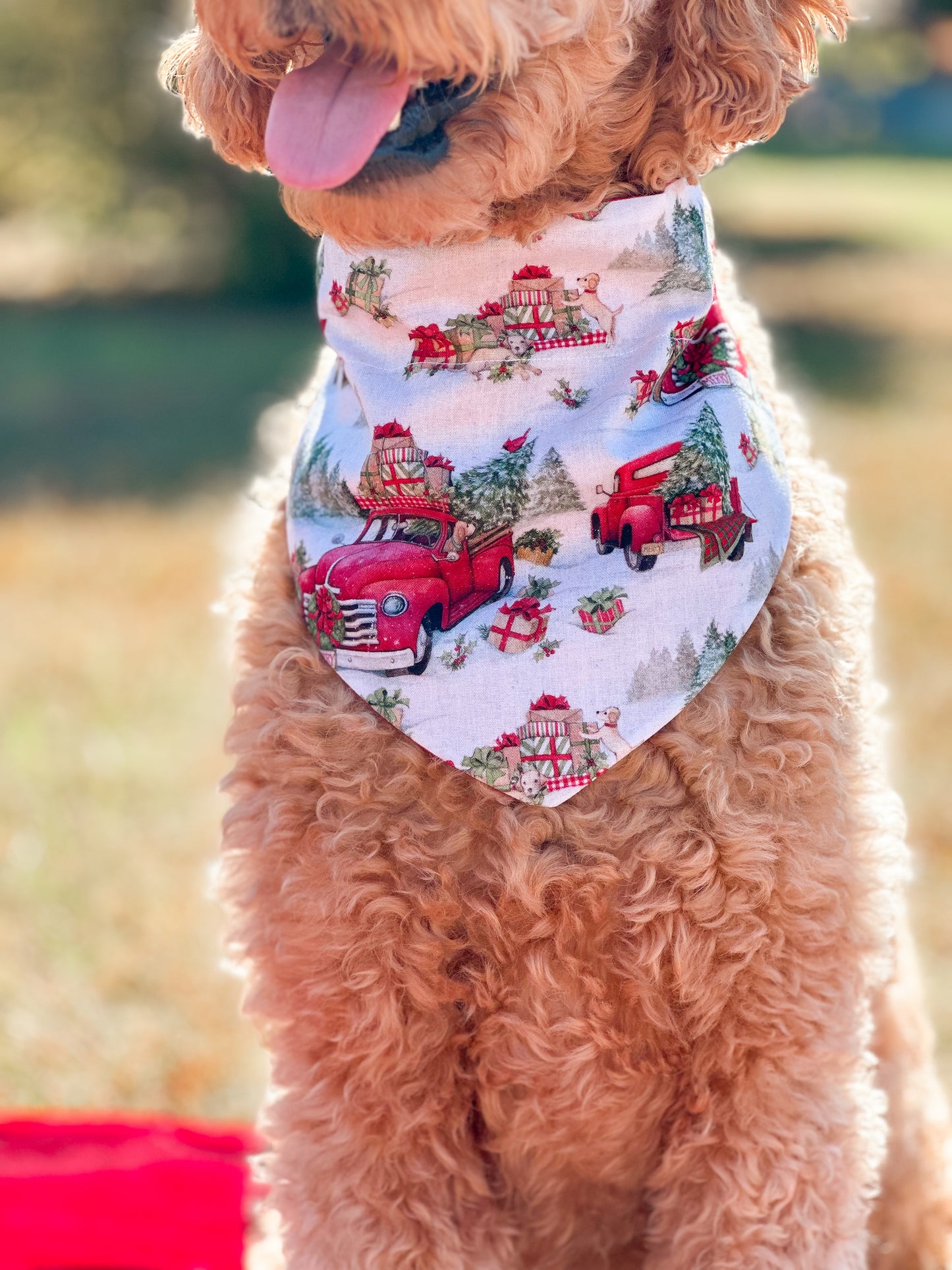 Old Fashioned Christmas