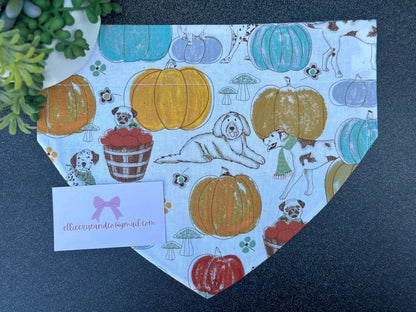 pumpkin patch