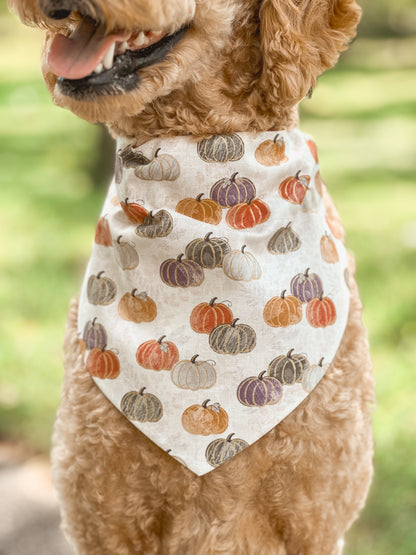 pawpkin spice