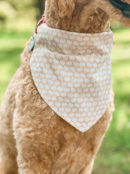 pawtumn