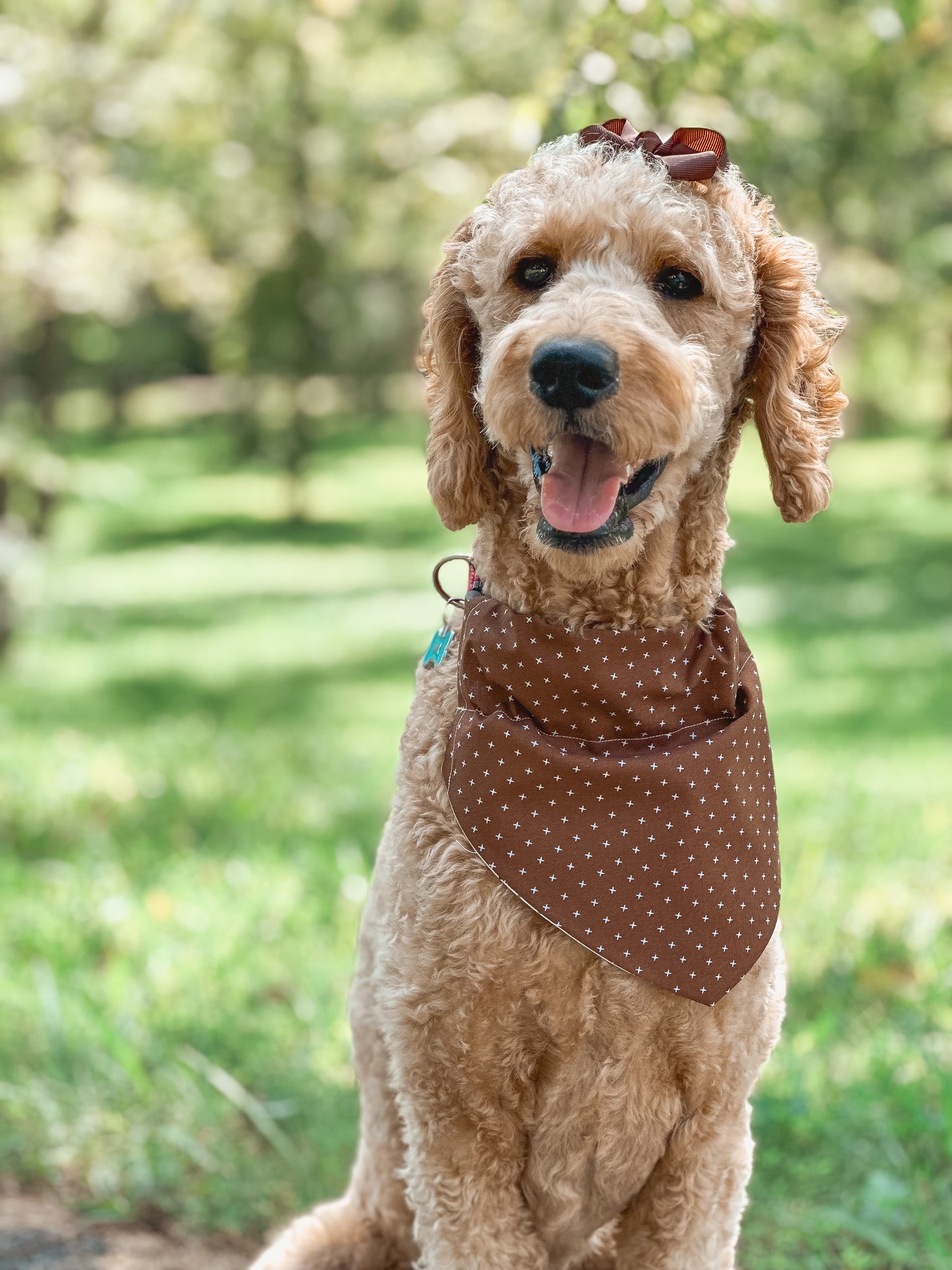 fall basics