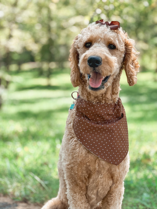 fall basics