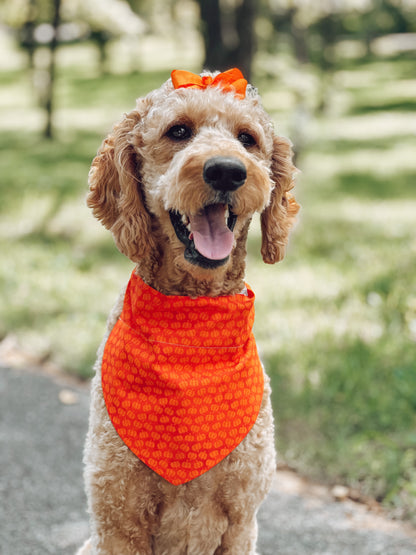 harvest pumpkin
