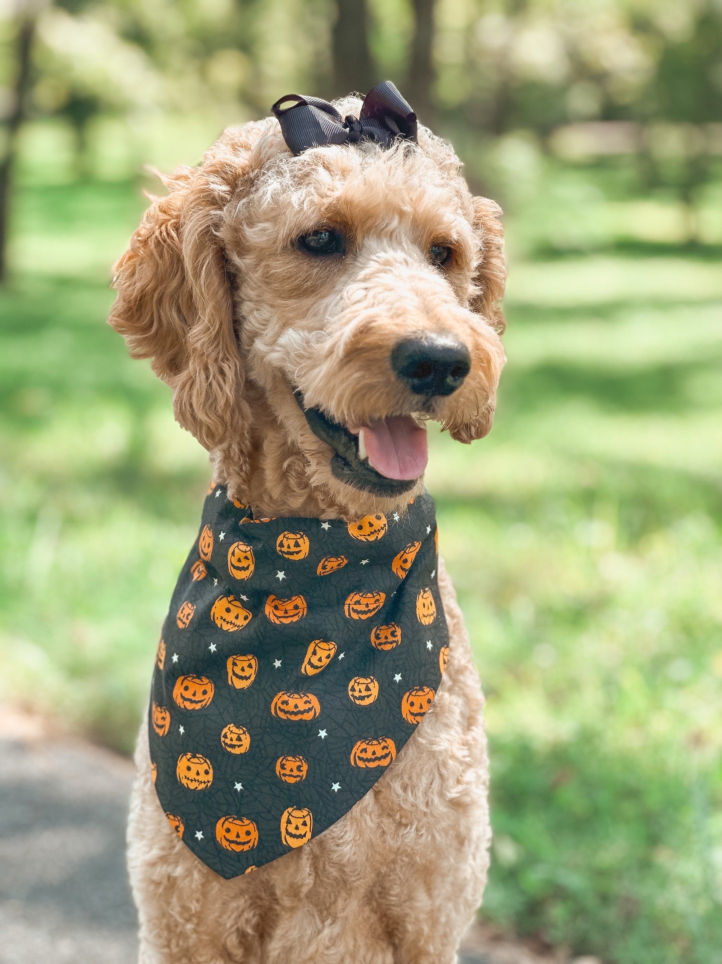 tricks 4 treats (GLOW)