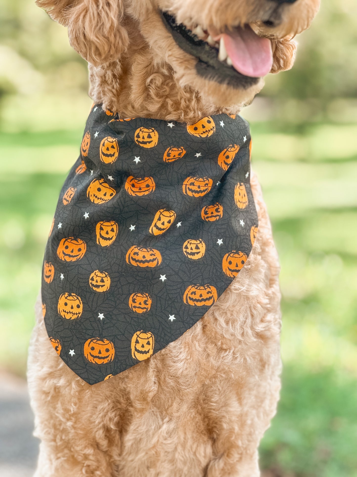 tricks 4 treats (GLOW)