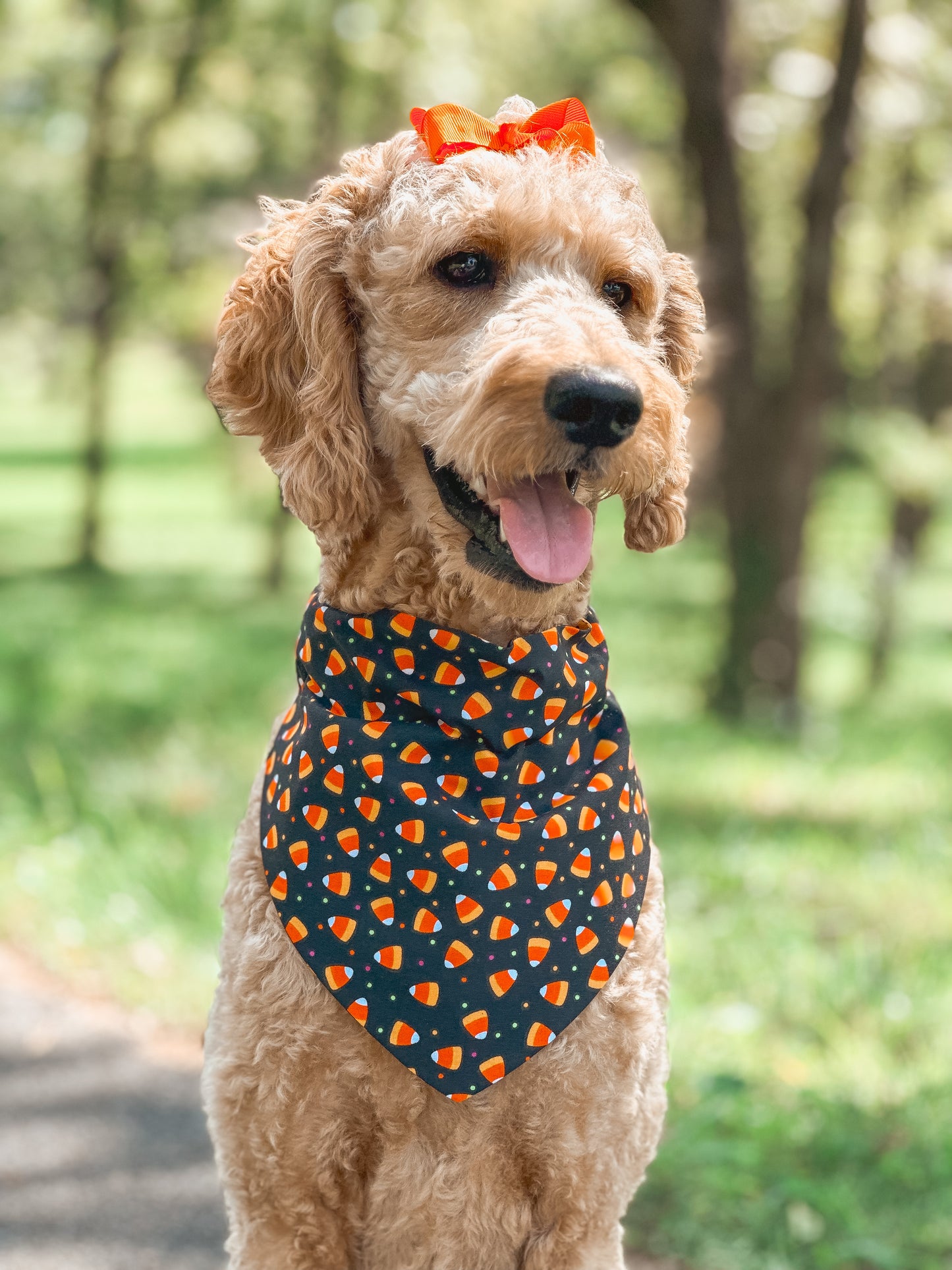tricks 4 treats (GLOW)