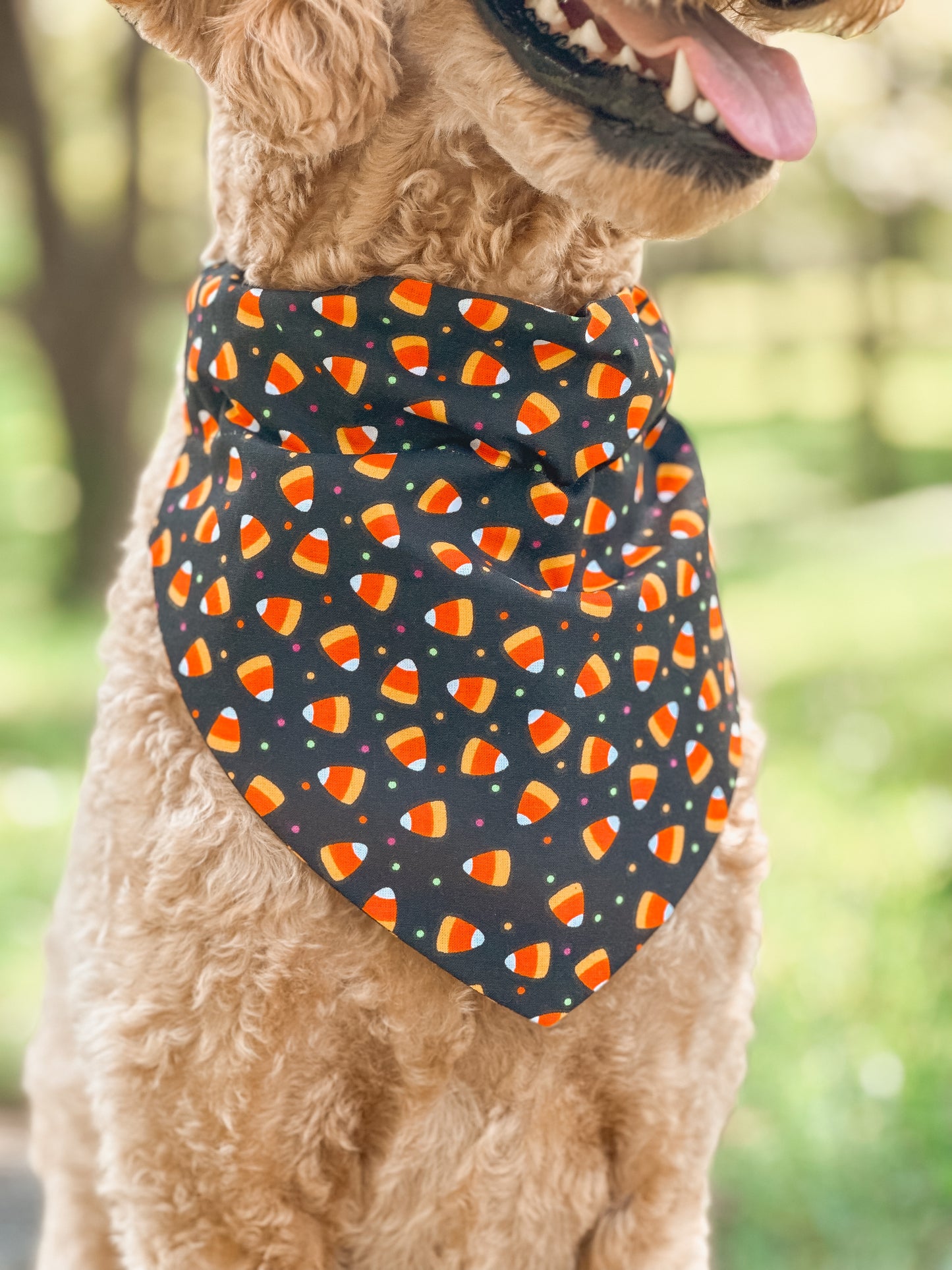 tricks 4 treats (GLOW)