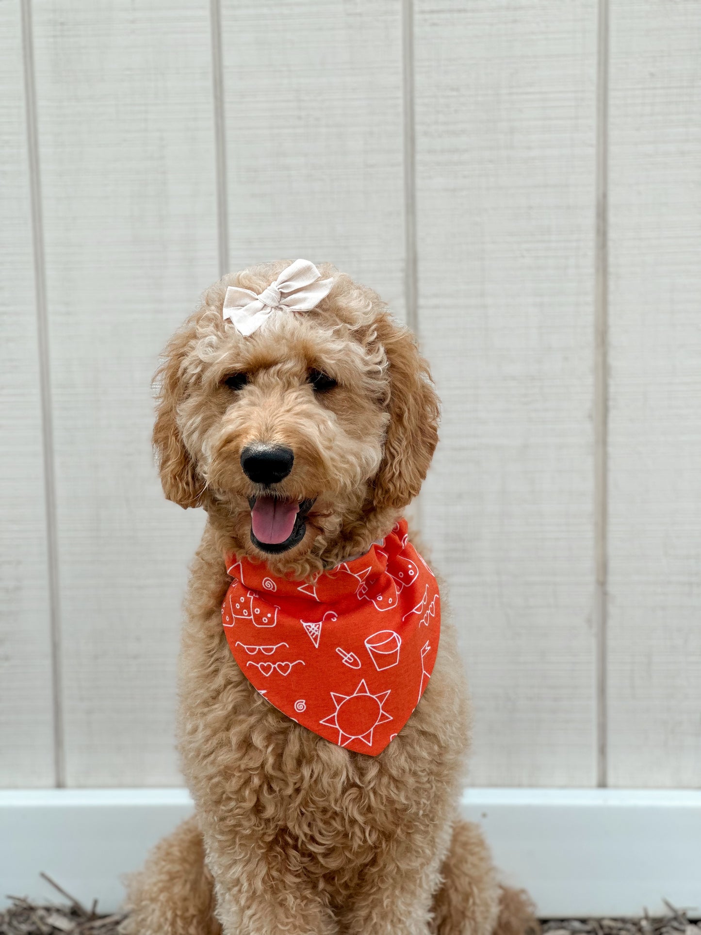 Clawsome Pup