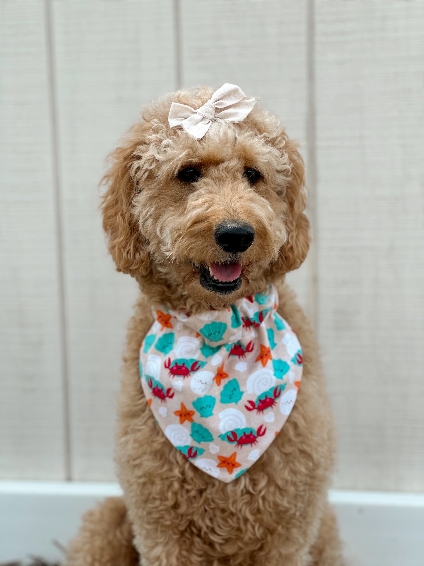 Clawsome Pup