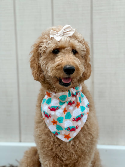 Clawsome Pup