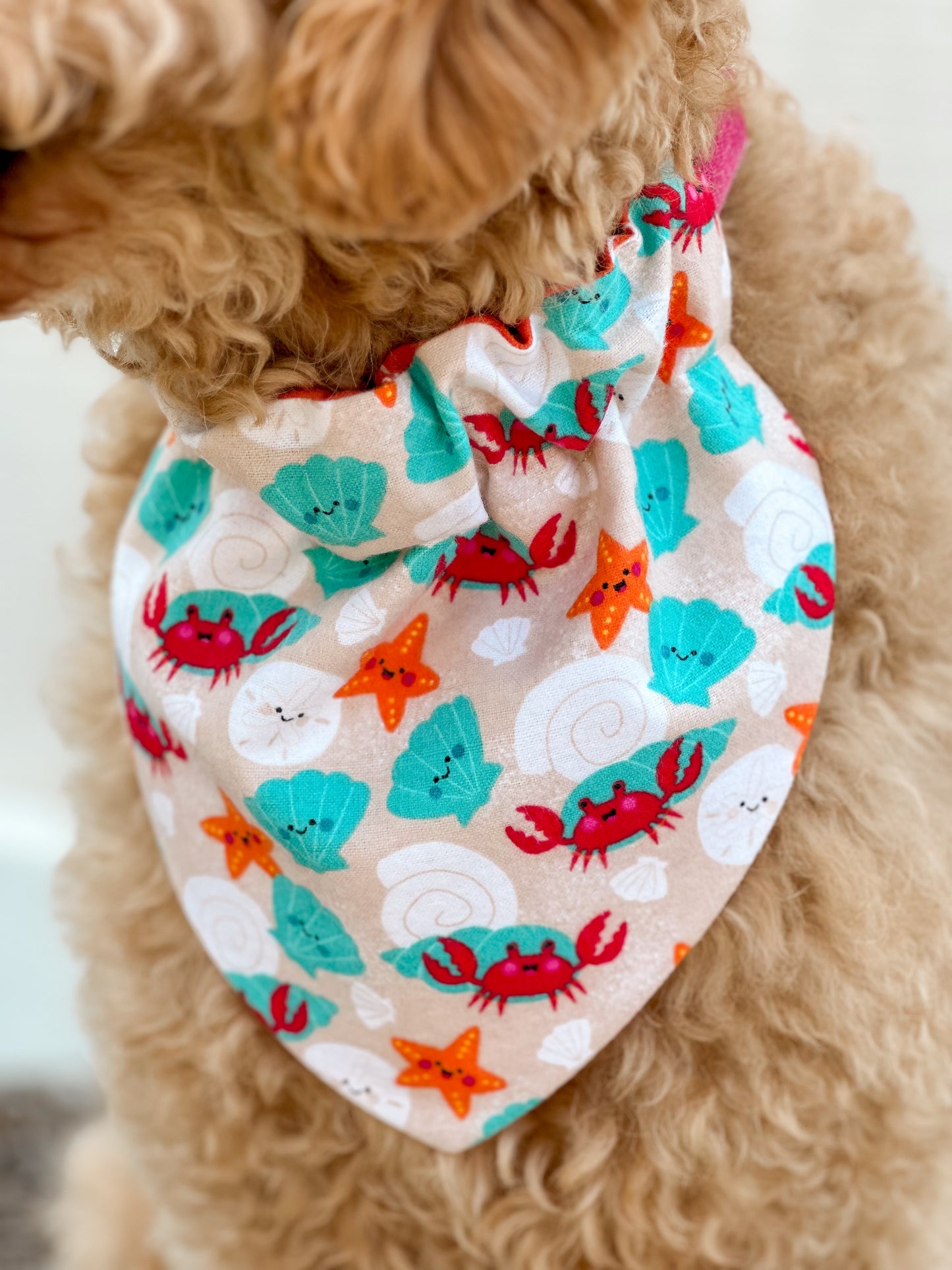 Clawsome Pup