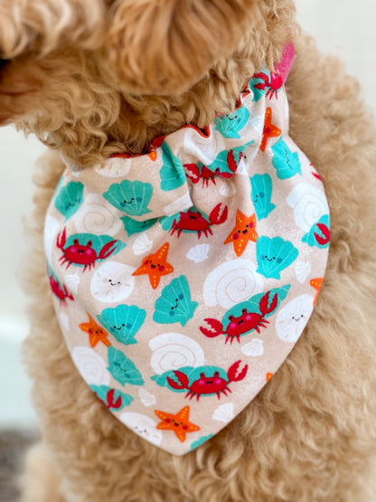 Clawsome Pup