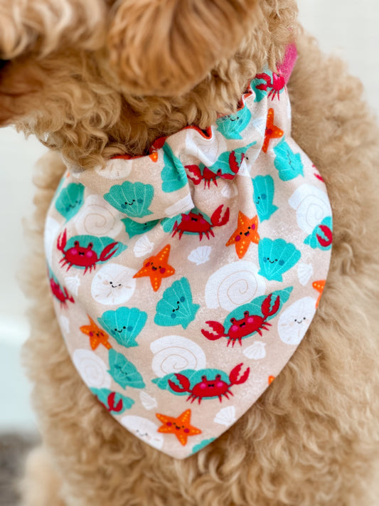 Clawsome Pup