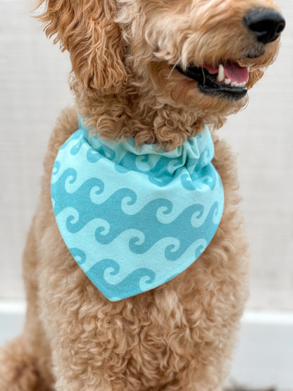Coastal Paws