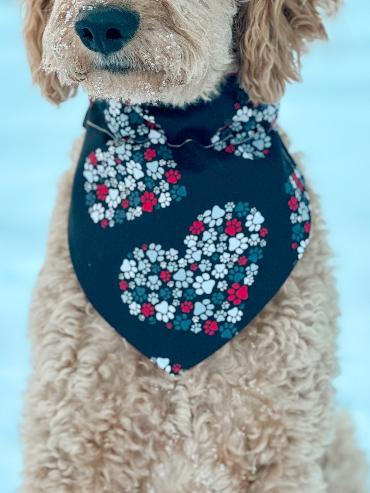 Puppy Love