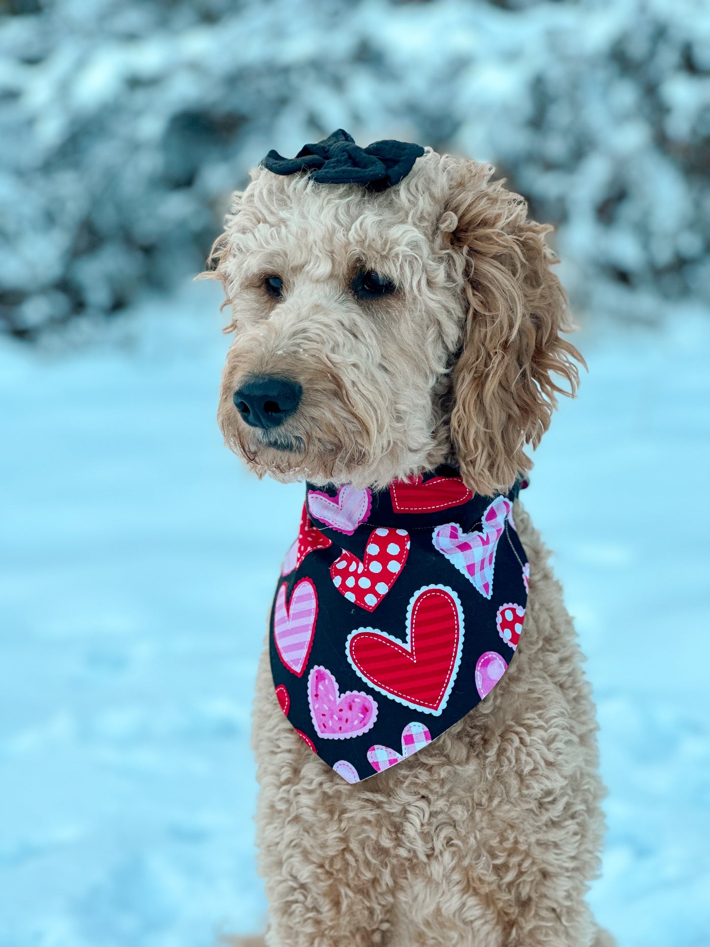 Heart Breaker