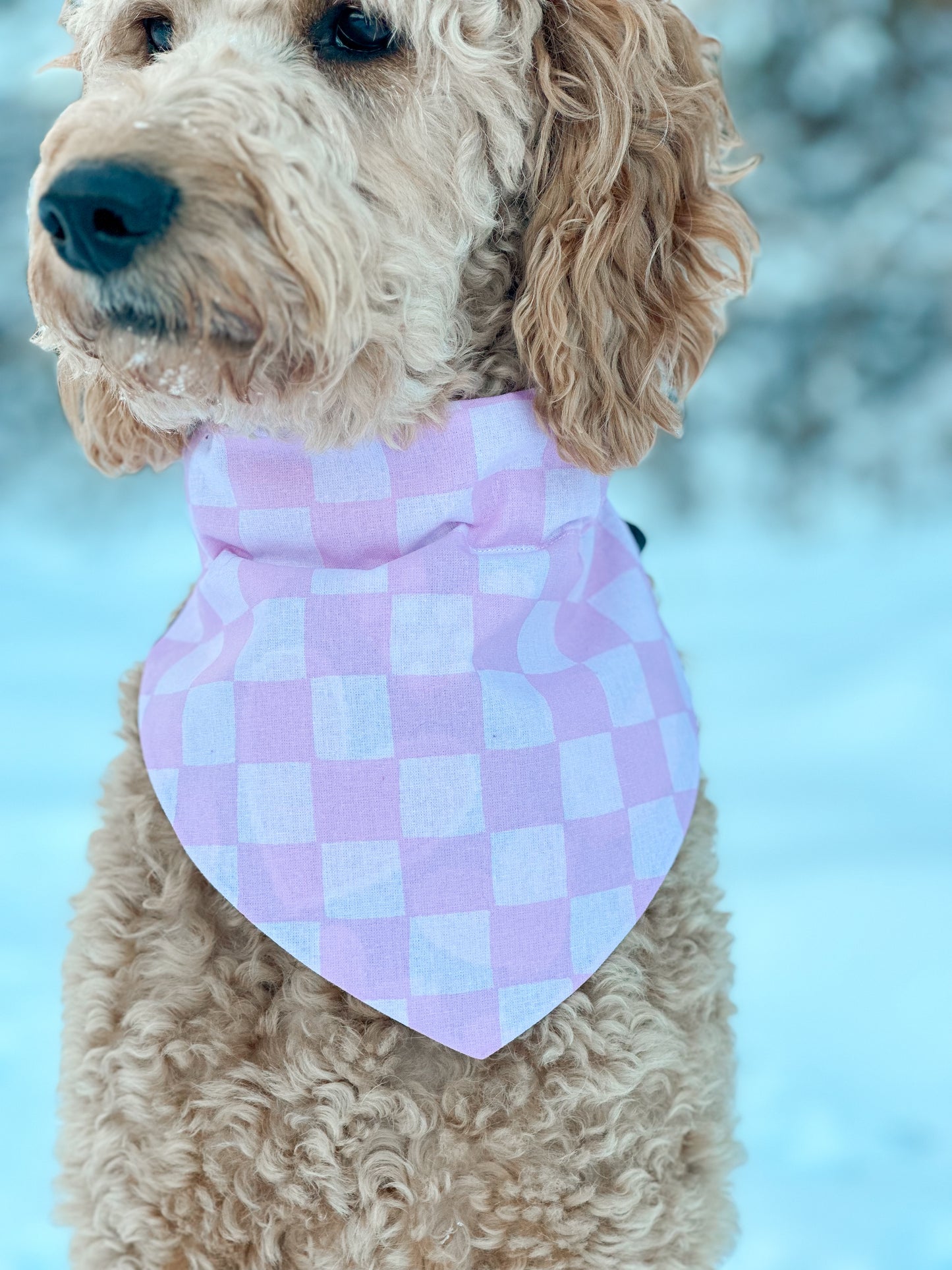 Heart Breaker