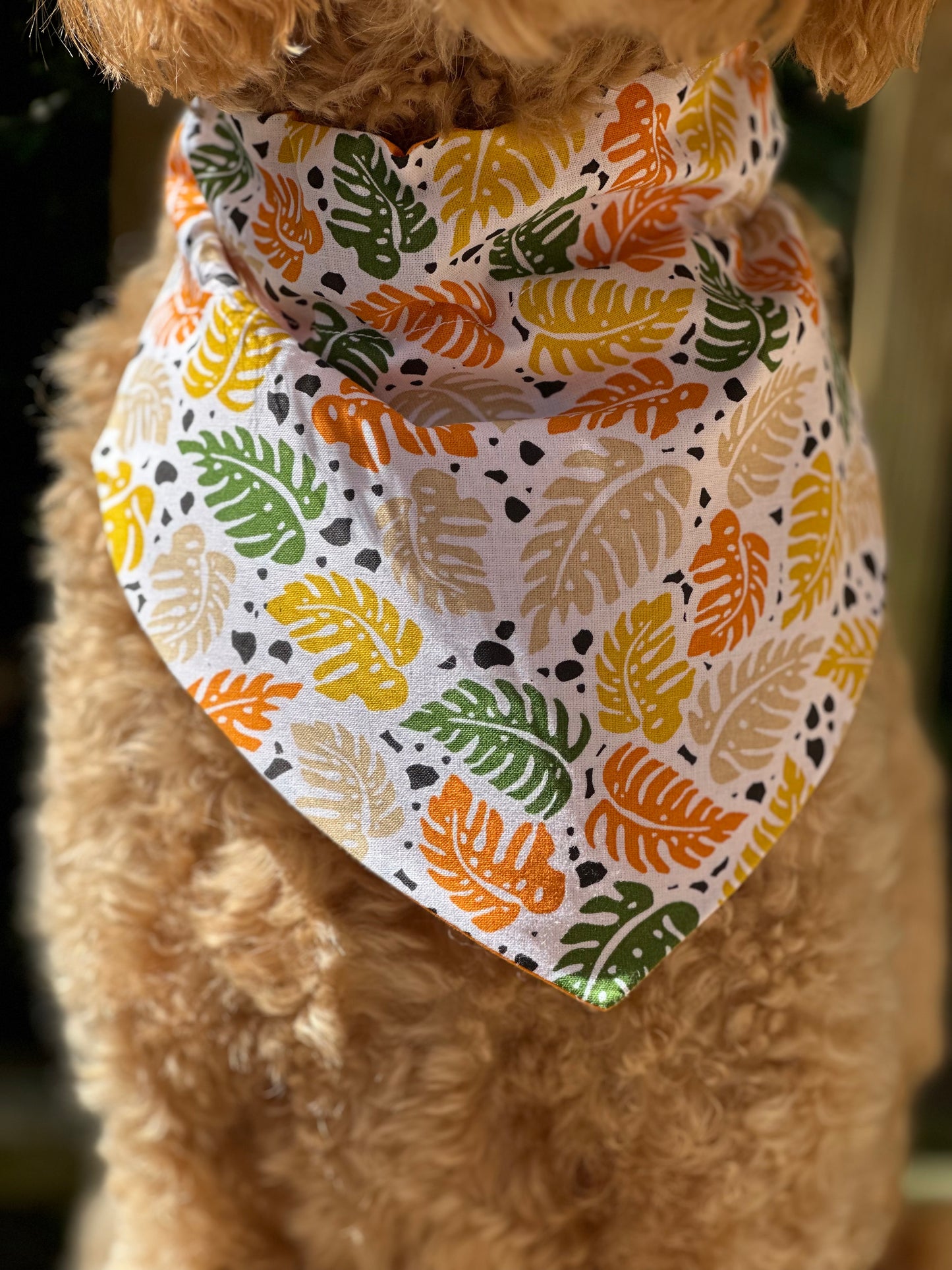 Pawsome Paradise