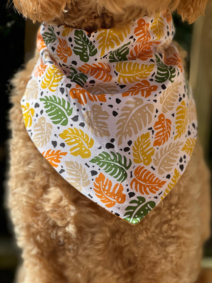 Pawsome Paradise