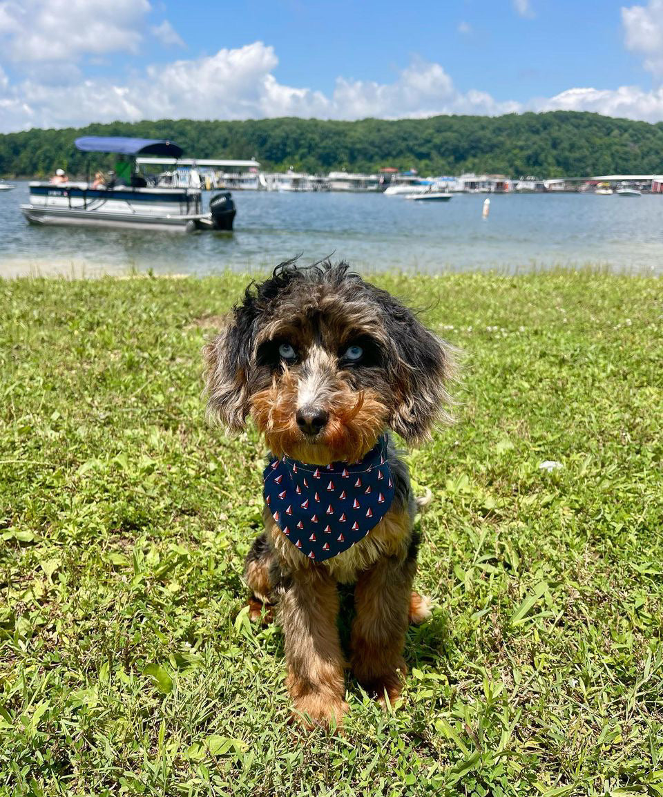 Boat days & Sun rays