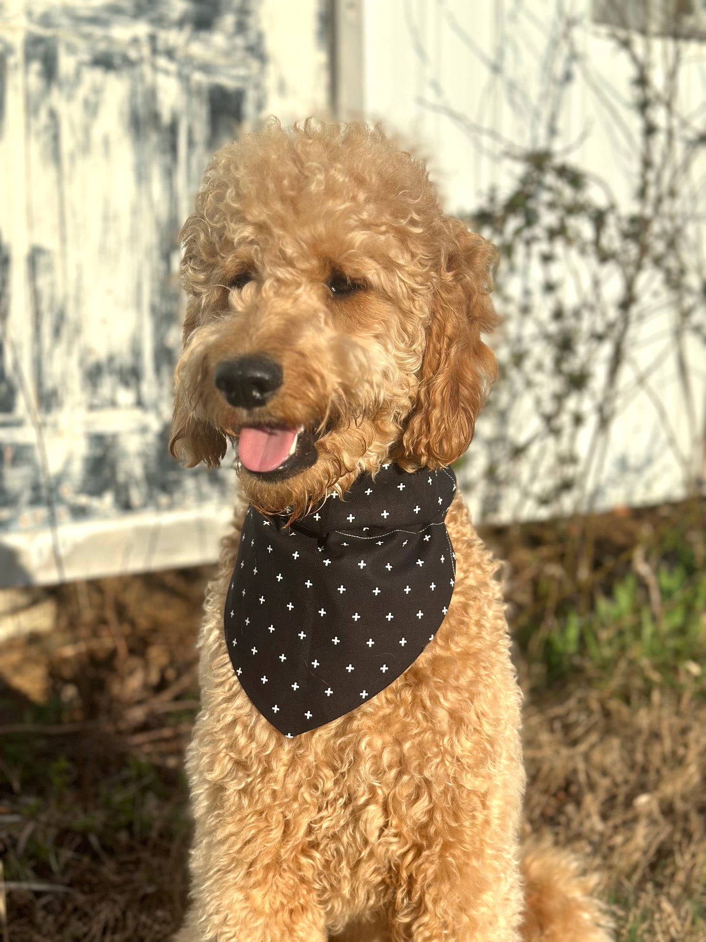 Simple Speckles