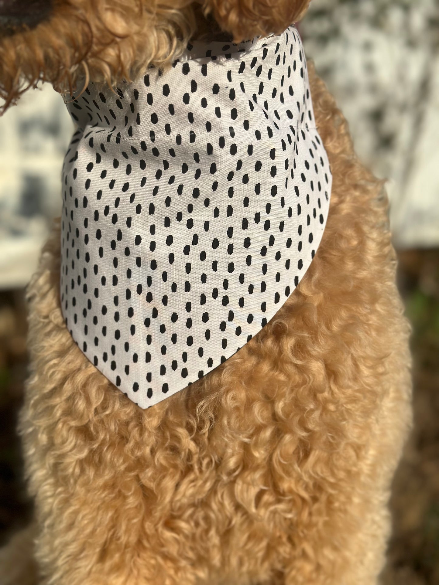 Simple Speckles