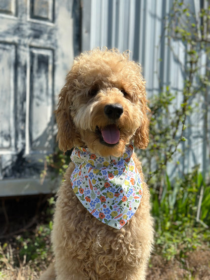 Spring blooms
